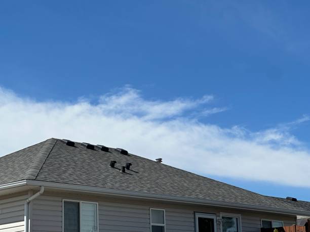 Best Gutter Replacement  in Whitehouse, TX